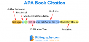 APA Annotated Bibliography Guide With Examples | Bibliography.com