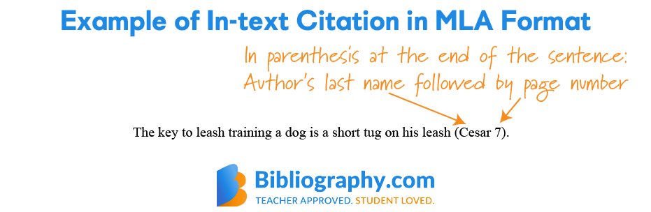 example in-text citation MLA