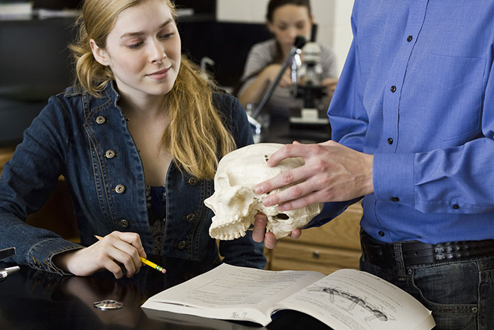 Student working Bibliography for an Anthropology Essay