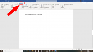 how to insert a citation in the word document