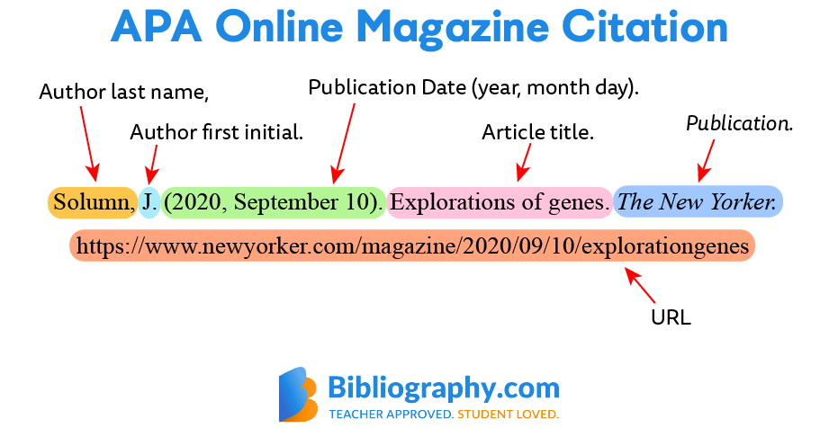 APA online magazine citation